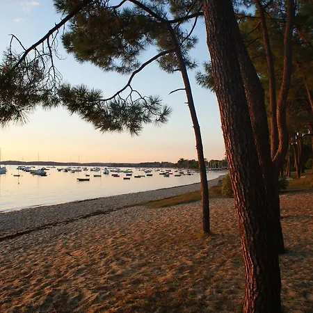 Kemp Pasteur Vacances